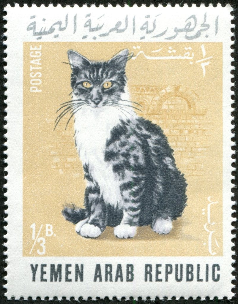 Stamp